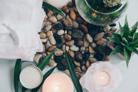 Terrarium Workshops